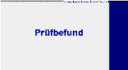 E-Check Pruefbefund (Mindestinhalte und Beispiel)